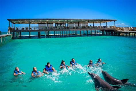 Ocean Adventures Is Ready To Receive Tourists During The Easter Holidays - The Dolphin Company