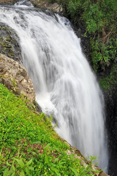 Waterfall at Natural Bridge, Australia Stock Photo - Image of australia ...