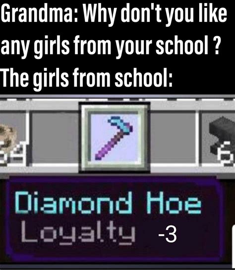 NEVER spend your diamonds on a hoe. : r/MinecraftMemes