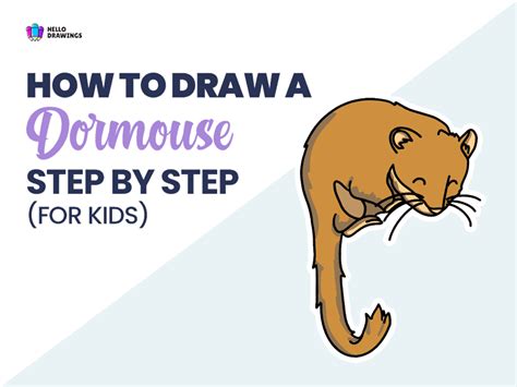 How To Draw A Dormouse In (9) Easy Steps For Kids