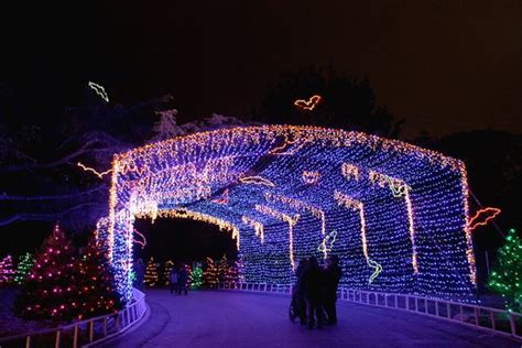 Austin Area Christmas Lights Trail | The Daytripper