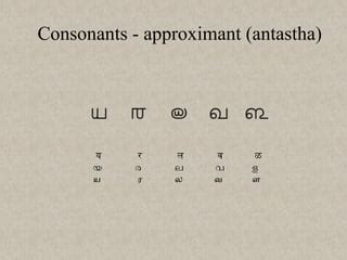 Grantha Script: Writing System and Evolutionary History