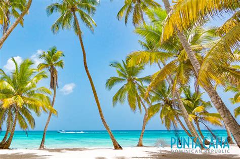 Best Beaches in Punta Cana 2020 - The Perfect Seven