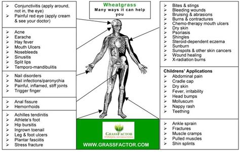 Pin on Juicing