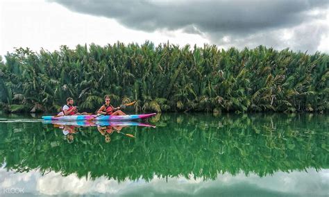 Bohol Mangrove River Kayaking Tour - Klook Philippines