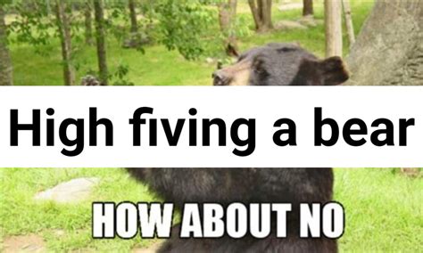 How About No Bear Meme Generator - Piñata Farms - The best meme generator and meme maker for ...