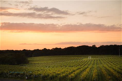 Julie & Kenny - wedding - Laurita winery, NJ - Wedding & photographer ...