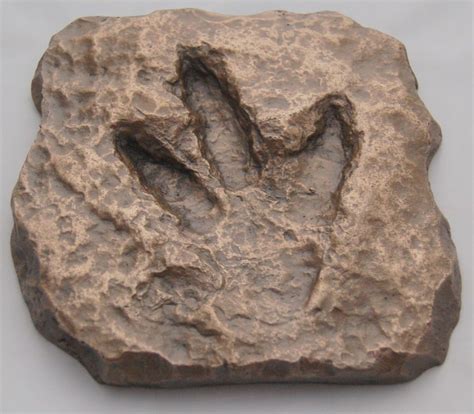 Baby Dinosaur Footprint – cast made from original fossil. A superb ...