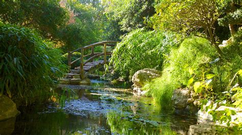 Zilker Botanical Garden in Austin, Texas | Expedia