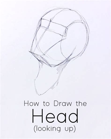 Head Looking Up Drawing