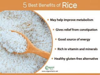 Rice: Health Benefits & Nutrition Facts | Organic Facts