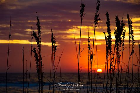 "A Sarasota Sunset" :: Behance