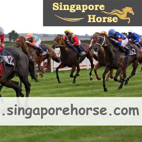 SINGAPORE HORSE RACING RESULTS - YouTube