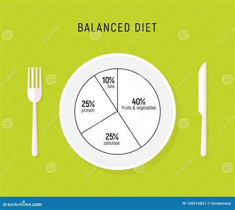 Healthy Diet Food, Balance Nutrition Plate. Vector Health Meal Chart Infographic, Diet Plan ...