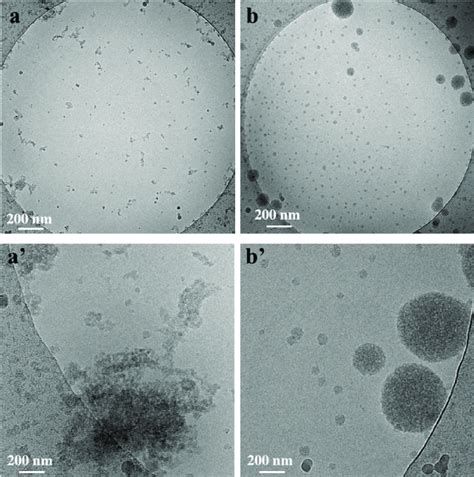 Cryo-EM images at low (a,b) and high magnifications (a′,b′) of NG-1... | Download Scientific Diagram