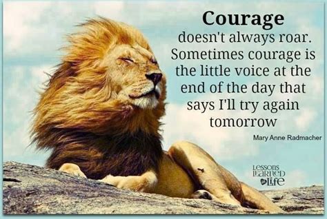 Courage doesn't always roar. #lion #quote #maryanneradmacher | Lion ...