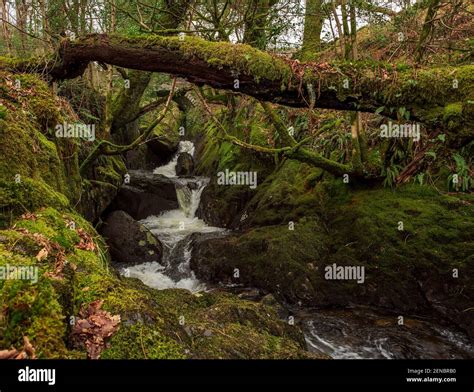 Waterfall Galloway forest park, Scotland Stock Photo - Alamy