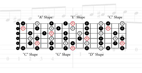 Chromatic scale piano - virtpartners