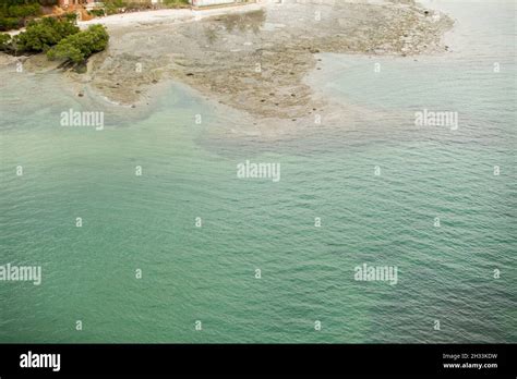 Aerial view of a beach in Brazil Stock Photo - Alamy