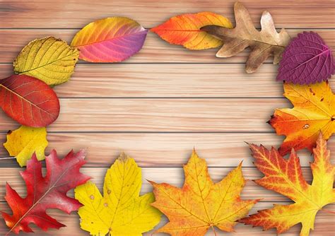 Herbst Banner Plakat - Kostenloses Bild auf Pixabay