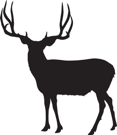 mule deer silhouette clipart 10 free Cliparts | Download images on Clipground 2024