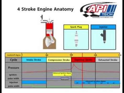 The Bamford Classification of Stroke