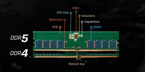 Ddr5 Vs Ddr4 Will Ddr5 Ram Work On Ddr4 Motherboard | Hot Sex Picture