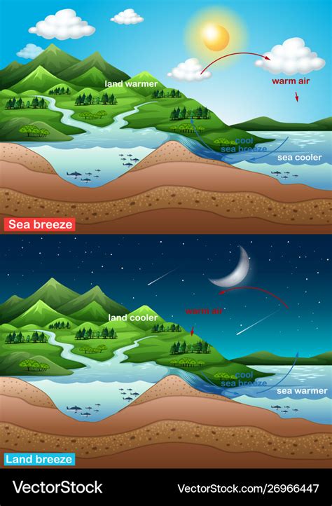 Diagram showing sea and land breeze Royalty Free Vector