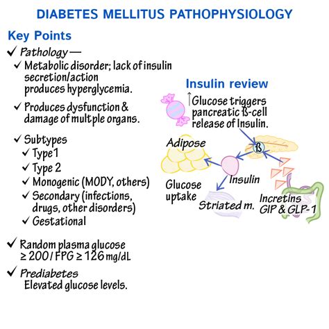 Pathology Glossary: Diabetes Mellitus - Pathophysiology of Types 1 & 2 | Draw It to Know It