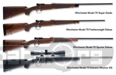 Winchester Model 70 Super Grade Review & Price GunData.org