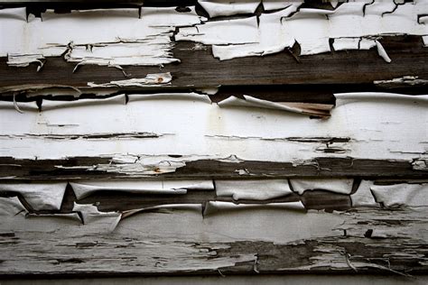 Free picture: peeling paint, wooden planks, texture