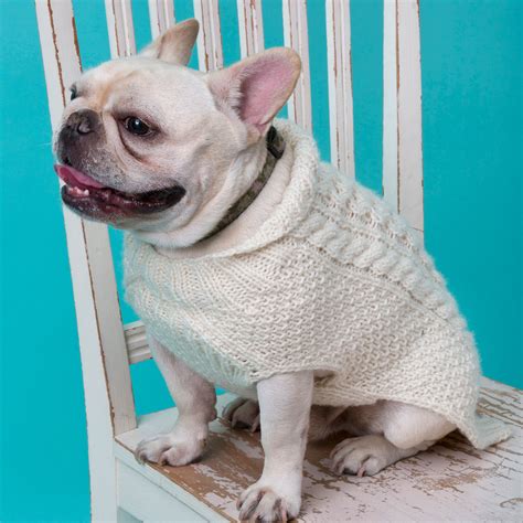 26 Free Crochet Dog Sweater Patterns | Guide Patterns