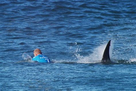 Mick Fanning escapes shark attack in J-Bay Open surf event in South Africa - ABC News