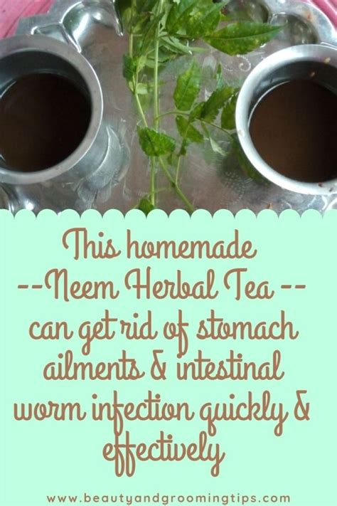 Neem Herbal Tea For Stomach Ailments & Intestinal Worm Infections | Beauty and Personal Grooming
