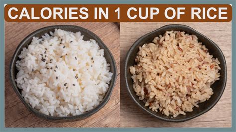 What is the number of Calories in 1 cup of rice? | Research Your Food