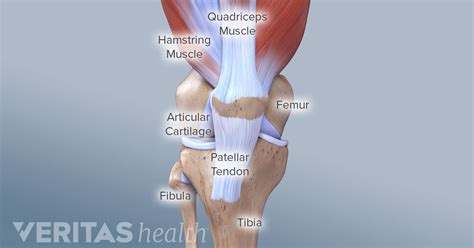 What You Need to Know About Kneecap Injuries