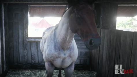 Chocolate Roan Dutch Warmblood | RDR2 & Online Horse Stats & Locations