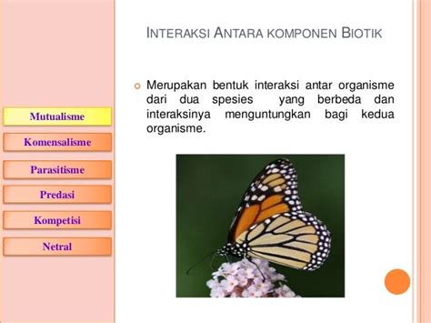 Pola interaksi dalam ekosistem