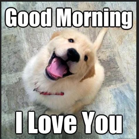 Funny Good Morning Dog Meme