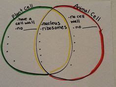 22 Graphic organizers ideas | graphic organizers, expository essay ...