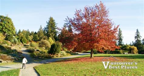 UBC Botanical Garden | Vancouver's Best Places