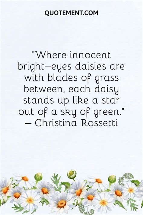 130 Lovely Daisy Quotes To Cherish Its Power And Beauty