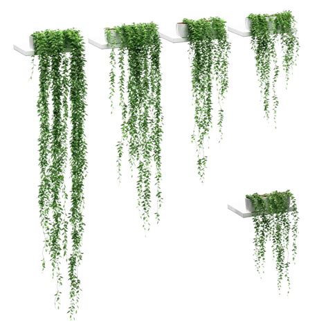 Hanging plants in pots on the shelves - 5 models 3D model | CGTrader