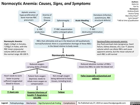 Anemia Of Chronic Disease