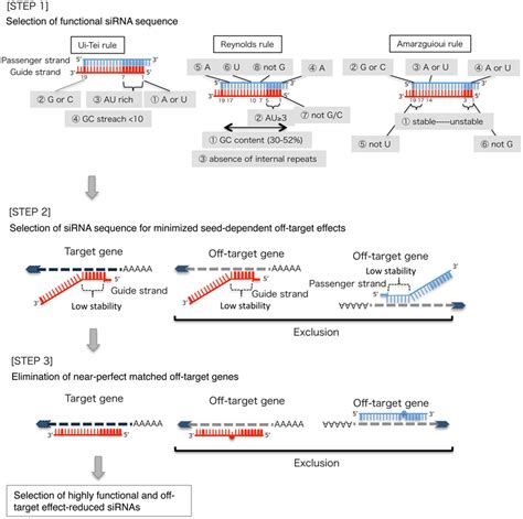 Frontiers | siRNA Design Software for a Target Gene-Specific RNA ...