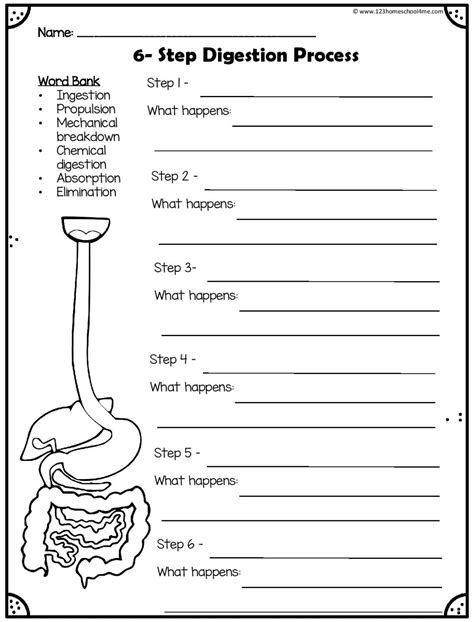 Digestive System Printable - Printable Word Searches