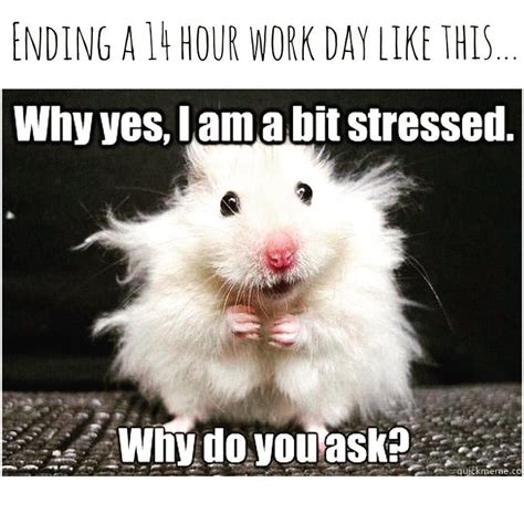 Current feels.. #work #stress #tired #boss #childcare #school #memes # ...