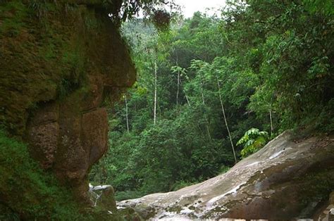 Harakmbut- Sacred Site Rediscovered in Peru, page 1