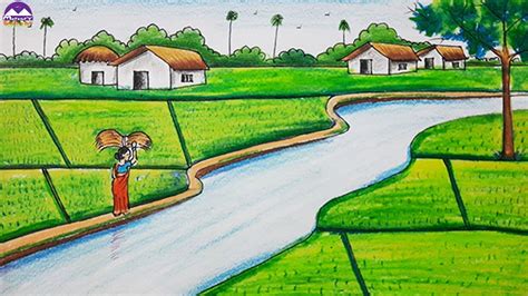 How to draw rice field scenery drawing | easy scenery of paddy field with oil pastel - YouTube