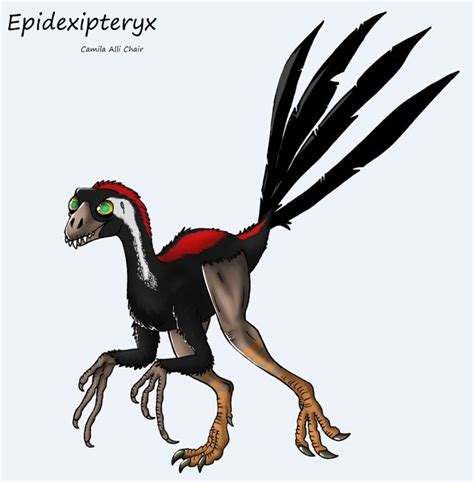 Epidexipteryx | Dinosaur, Fossils, Animals